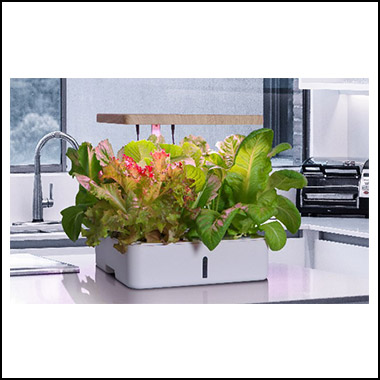 Hydroponik med planter på bord